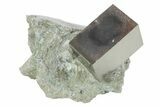 Natural Pyrite Cube In Rock - Navajun, Spain #231448-1